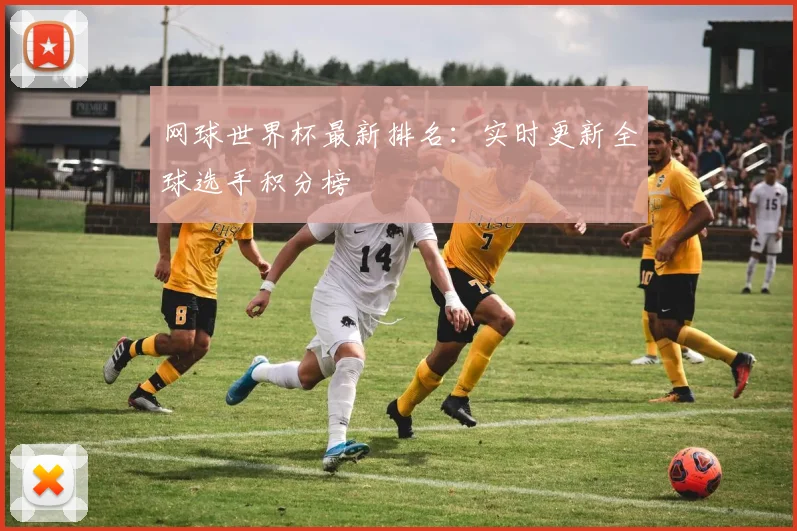 网球世界杯最新排名：实时更新全球选手积分榜